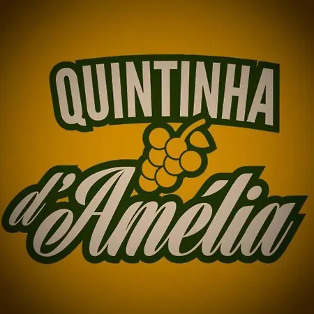 Tatil Evi Quintinha Da Amelia *