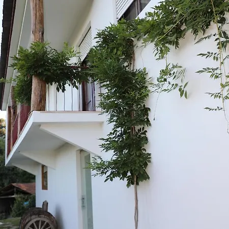 Quintinha Da Amelia Tatil Evi *