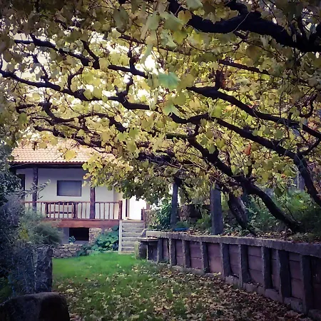 Tatil Evi Quintinha Da Amelia Celorico De Basto