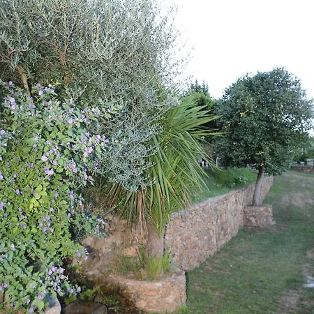 Quintinha Da Amelia *