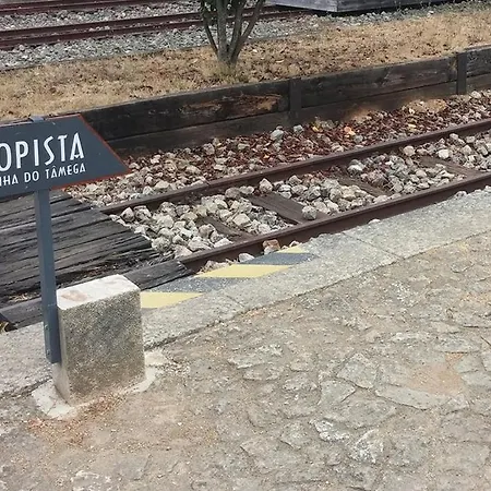 Quintinha Da Amelia *