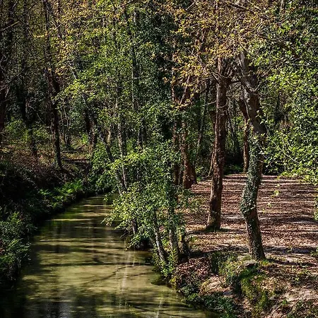 Tatil Evi Quintinha Da Amelia